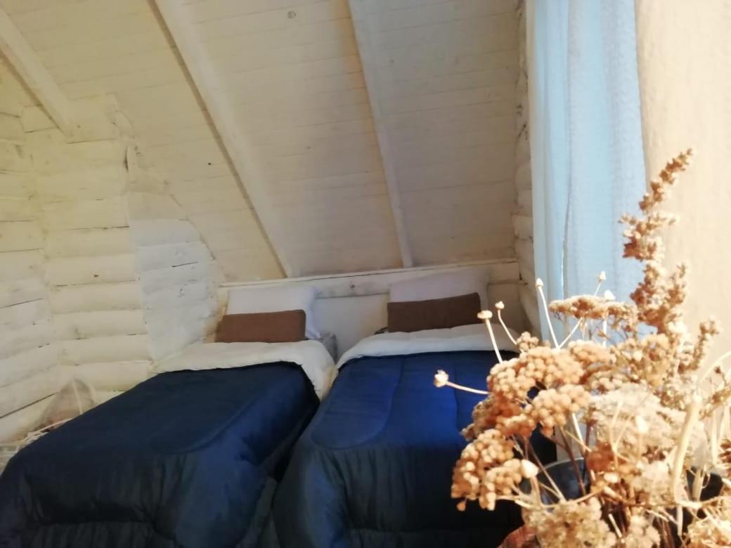 Cabana Azul Trevelín 外观 照片
